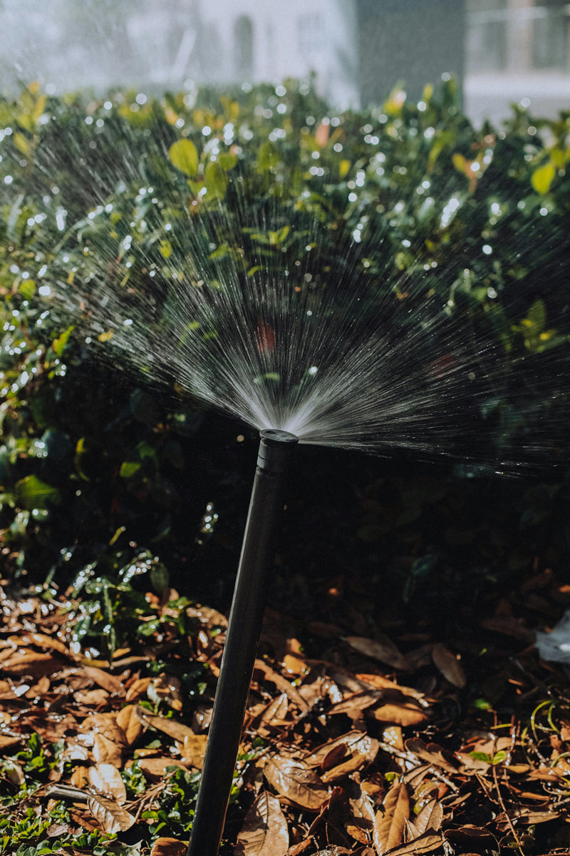 Close-up of a black irrigation sprinkler head spraying a fine mist of water onto green bushes in a sunlit garden, with damp brown leaves on the ground.