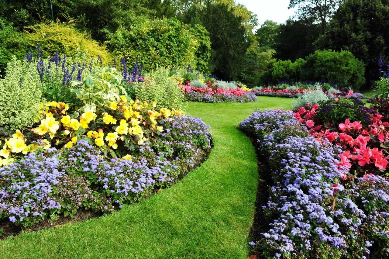 Custom landscape design featuring layered flower beds with purple, yellow, and red blooms and maintained lawn.